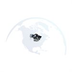 HP CLJ 1600/2600 Fusing Assembly